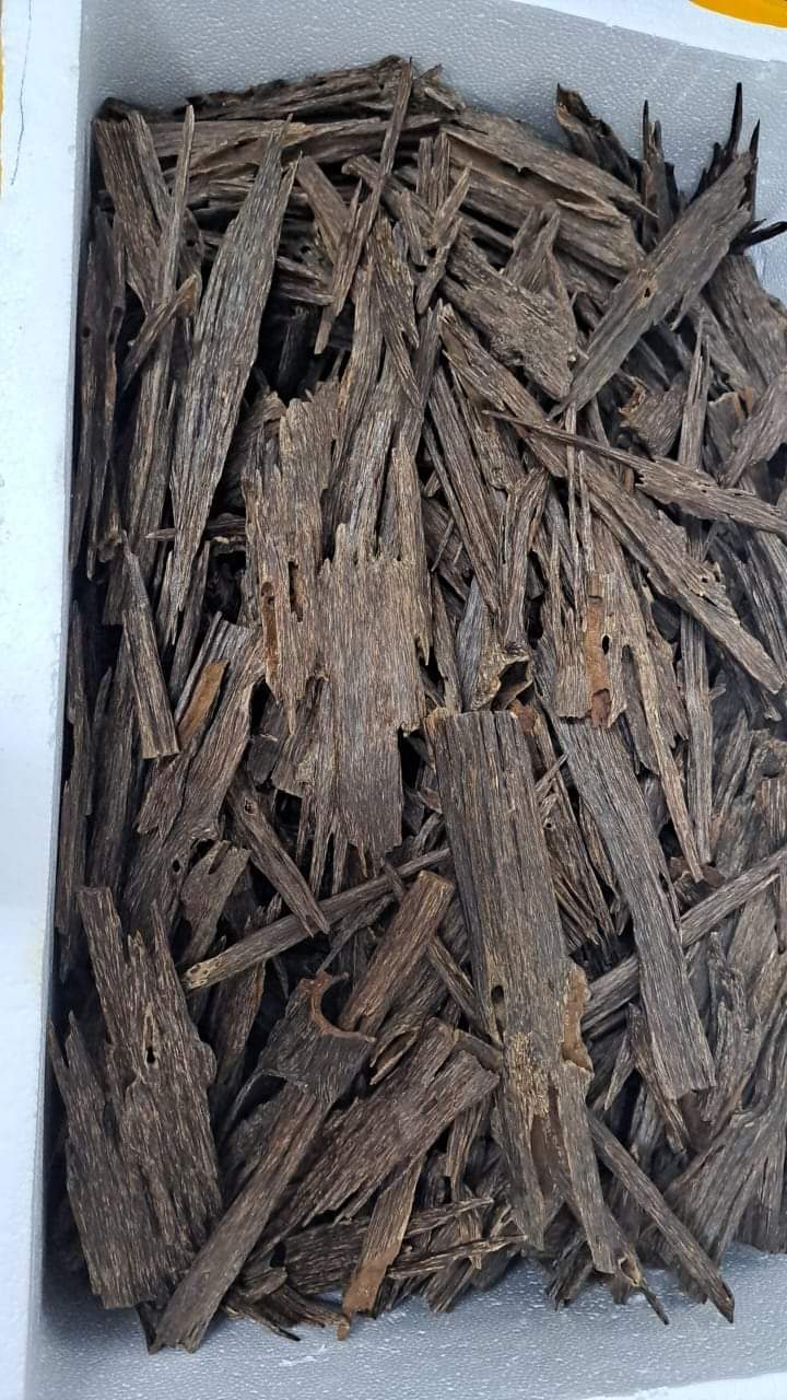 Agarwood Jura Chips Pure AAA Grade