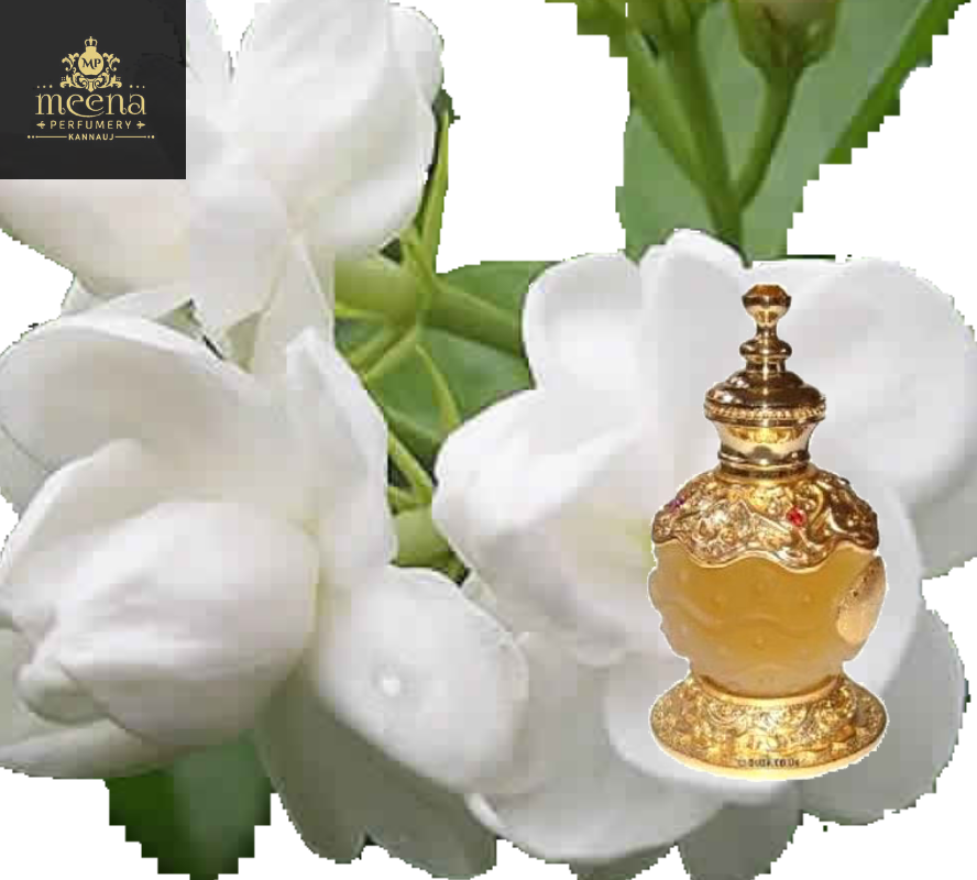 Ambari Hina Attar