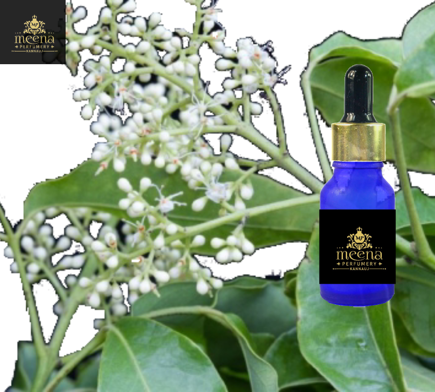 Amyris Oil