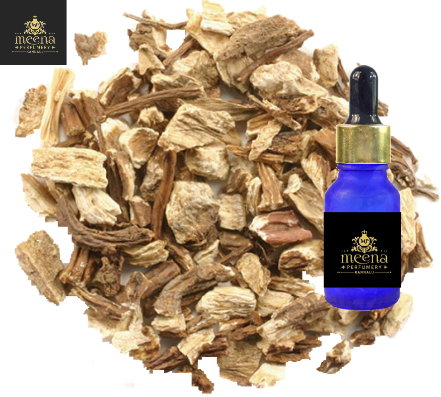 Angelica Root Oil