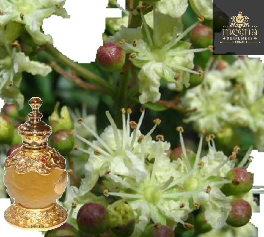 Attar Gul Hina