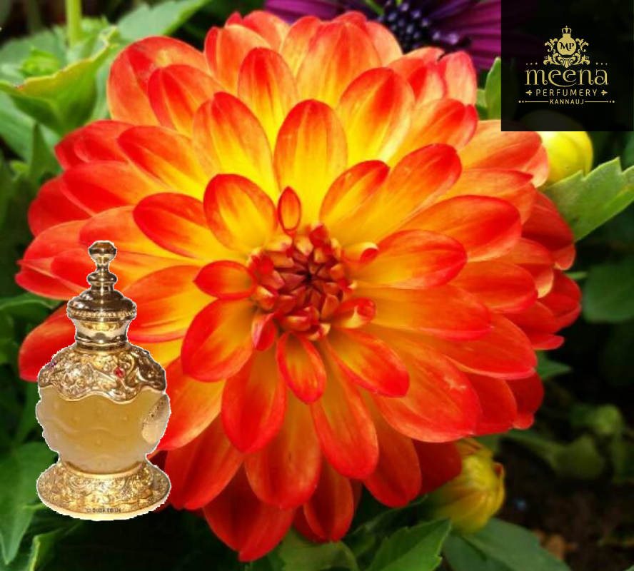 BAKUL ATTAR SANDALI