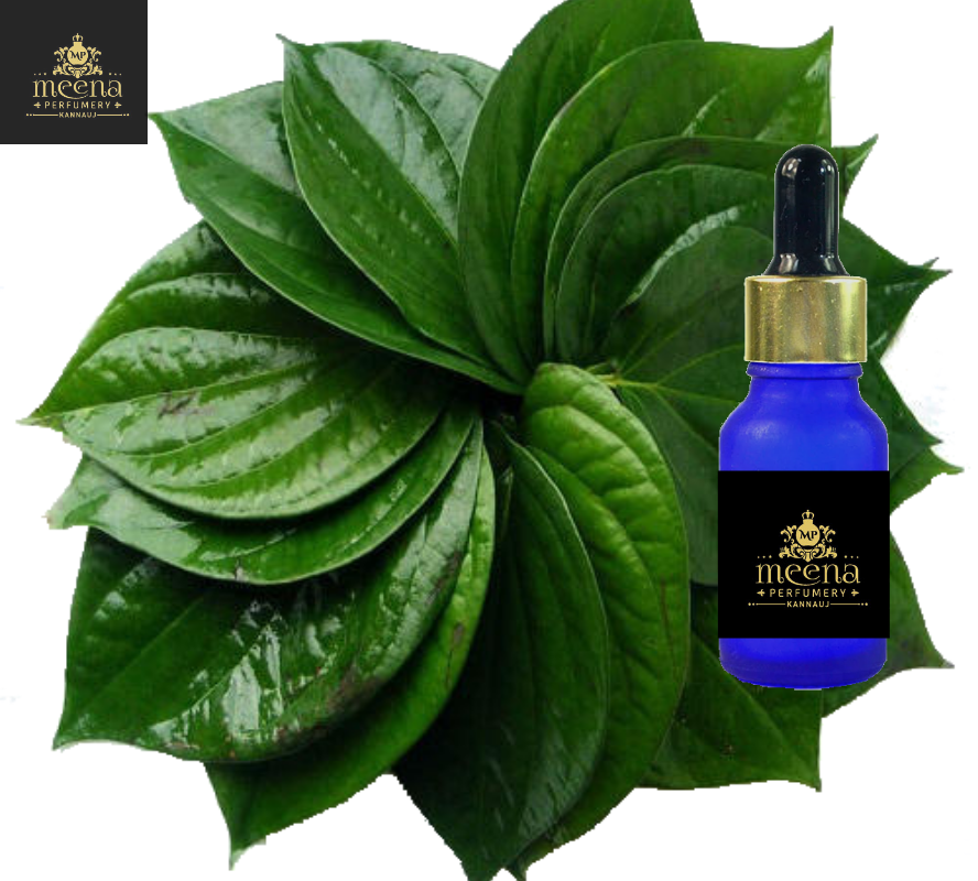 Betel Leaf Oil