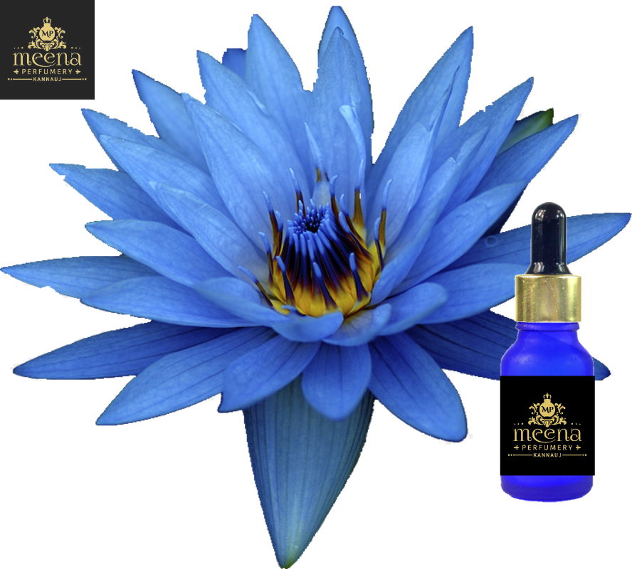 BLUE LOTUS ABSOLUTE