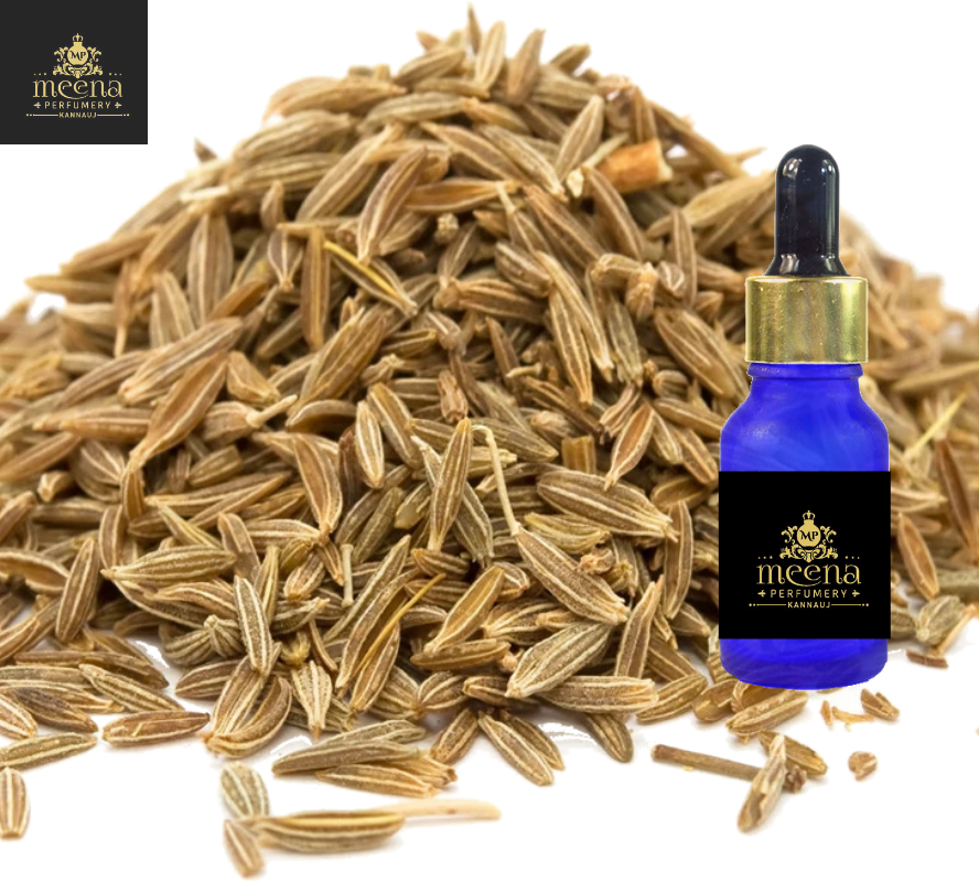 Caraway Oil