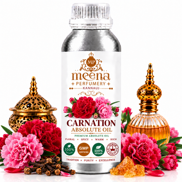 Carnation Absolute Oil