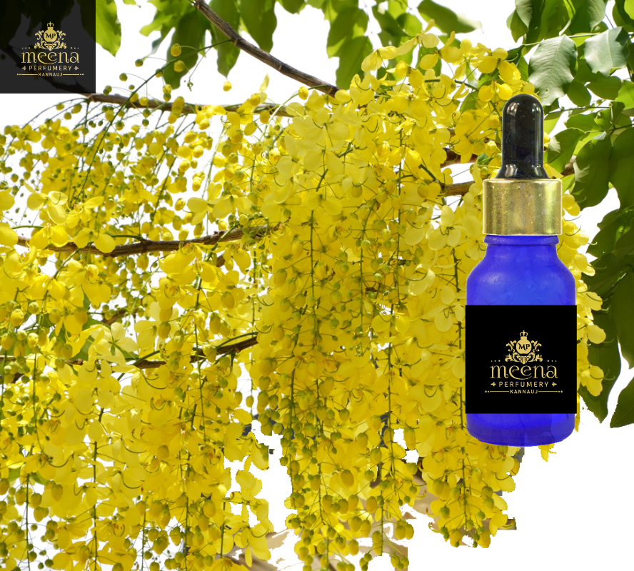 Cassia Oil