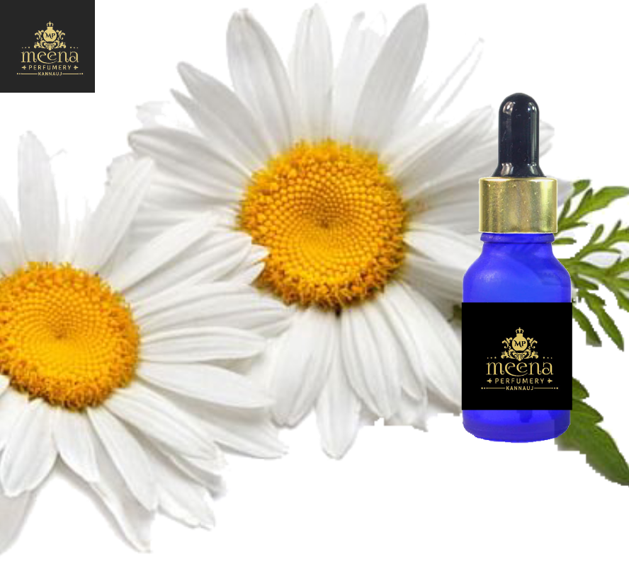 Chamomile Roman Oil