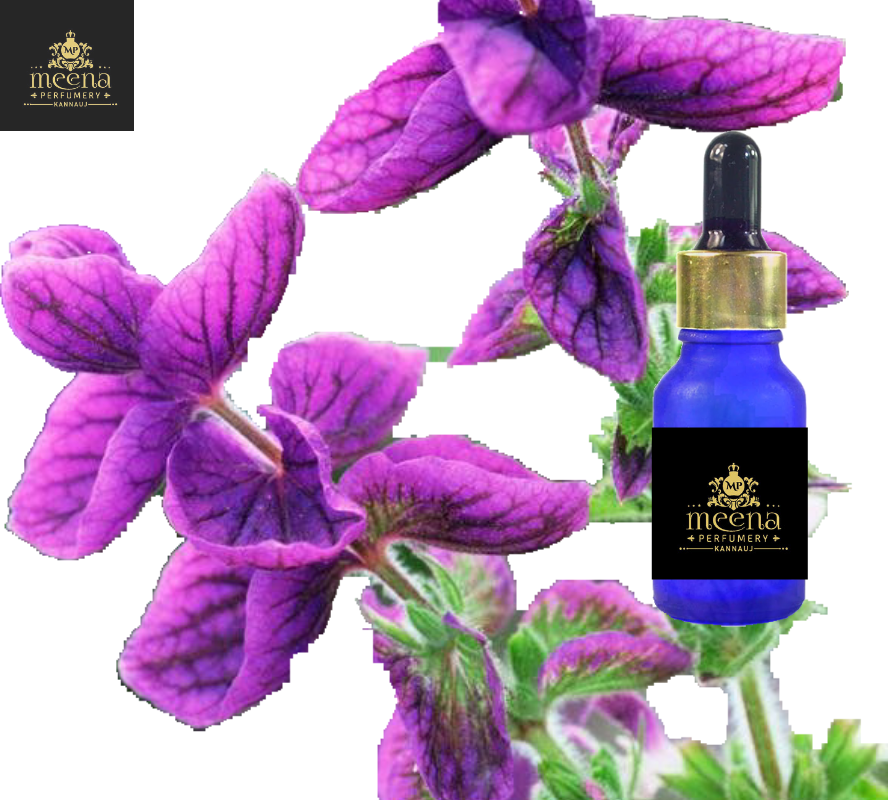 Clary Sage Oil