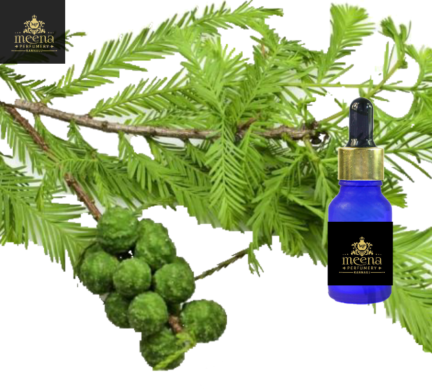 Cypress Oil