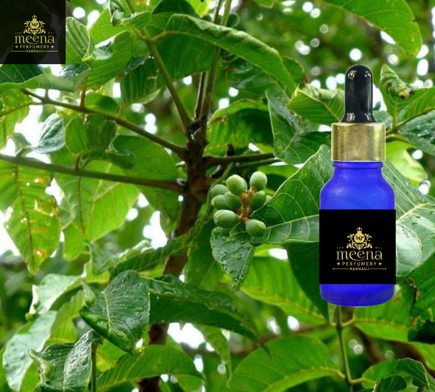 Elemi Pure Oil