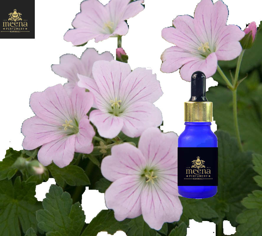 Geranium Oil