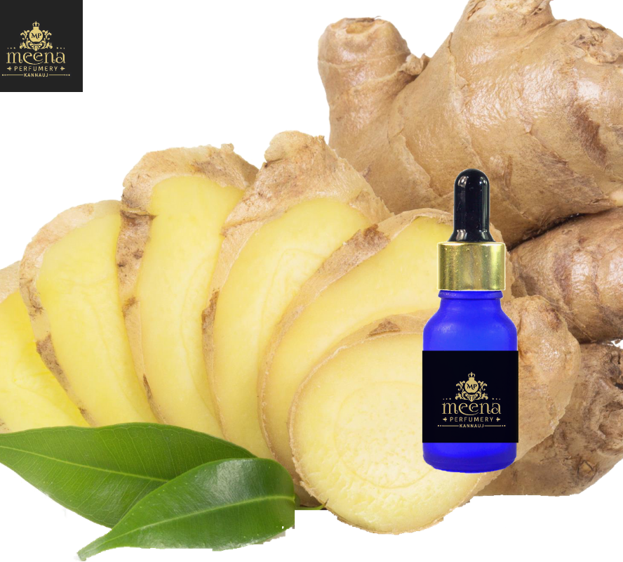 Ginger Oil