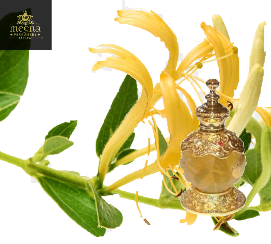 Honey Suckle Attar