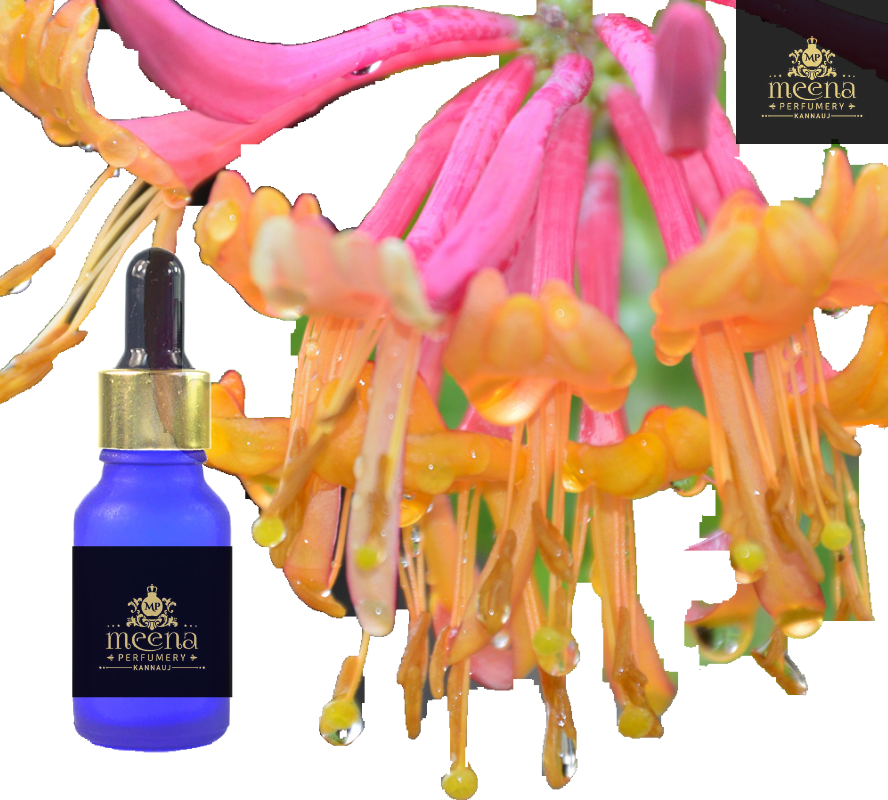 Honeysuckle Oil