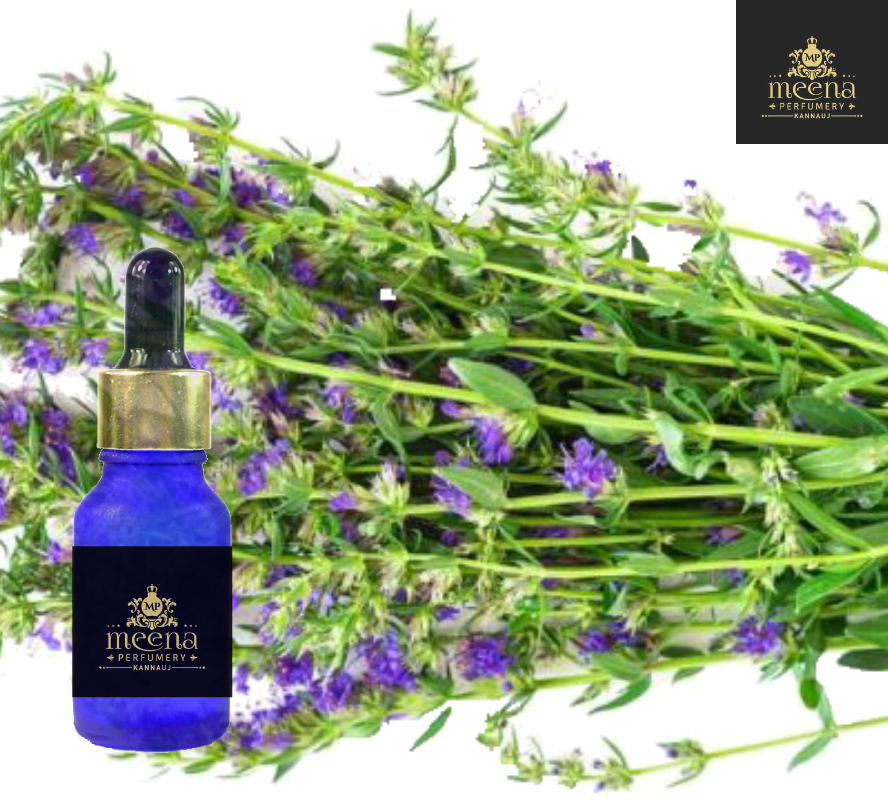 Hysoop Oil