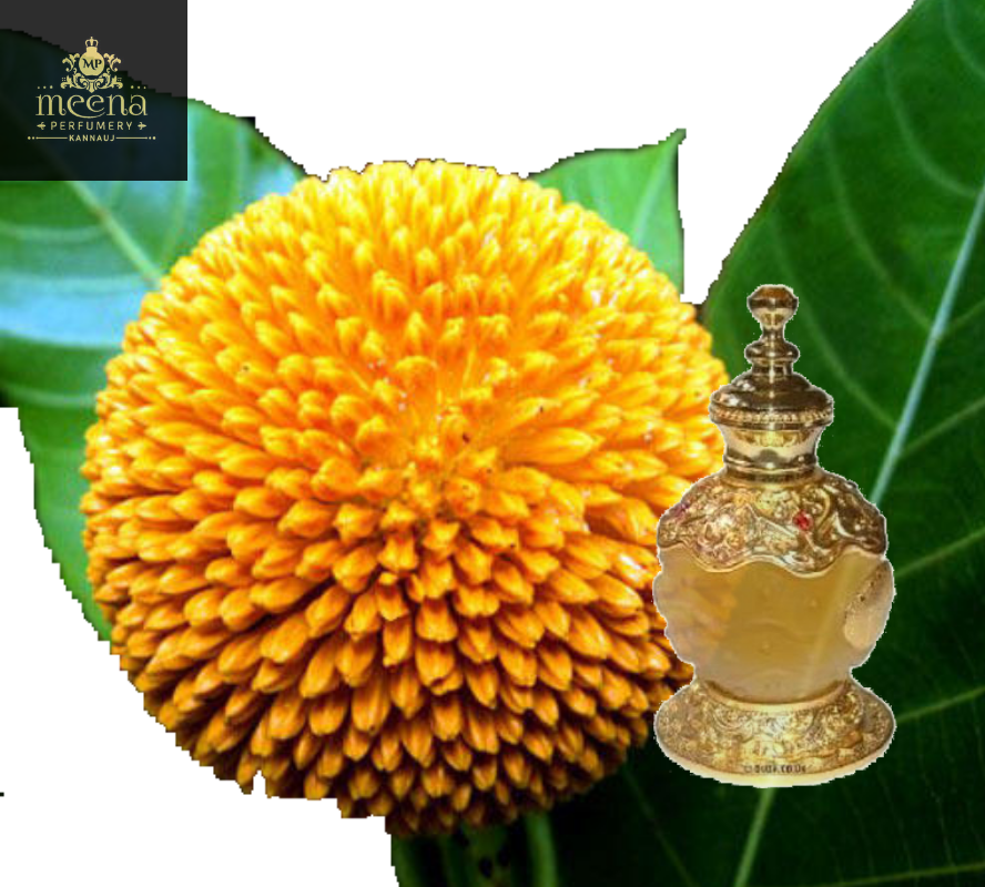 Indian Kadamb Attar