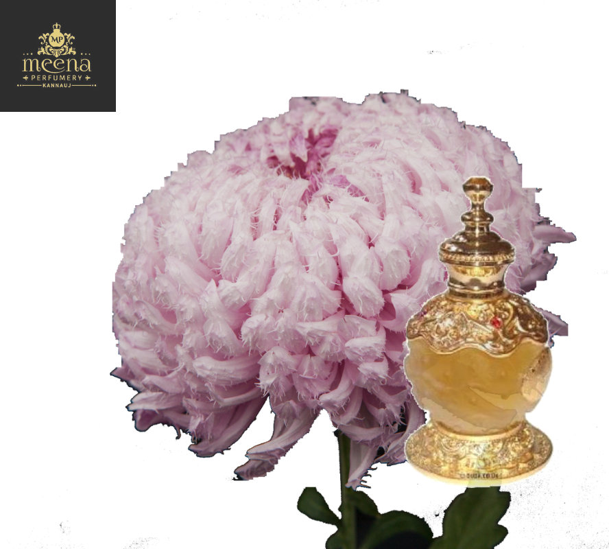 Kiku Attar