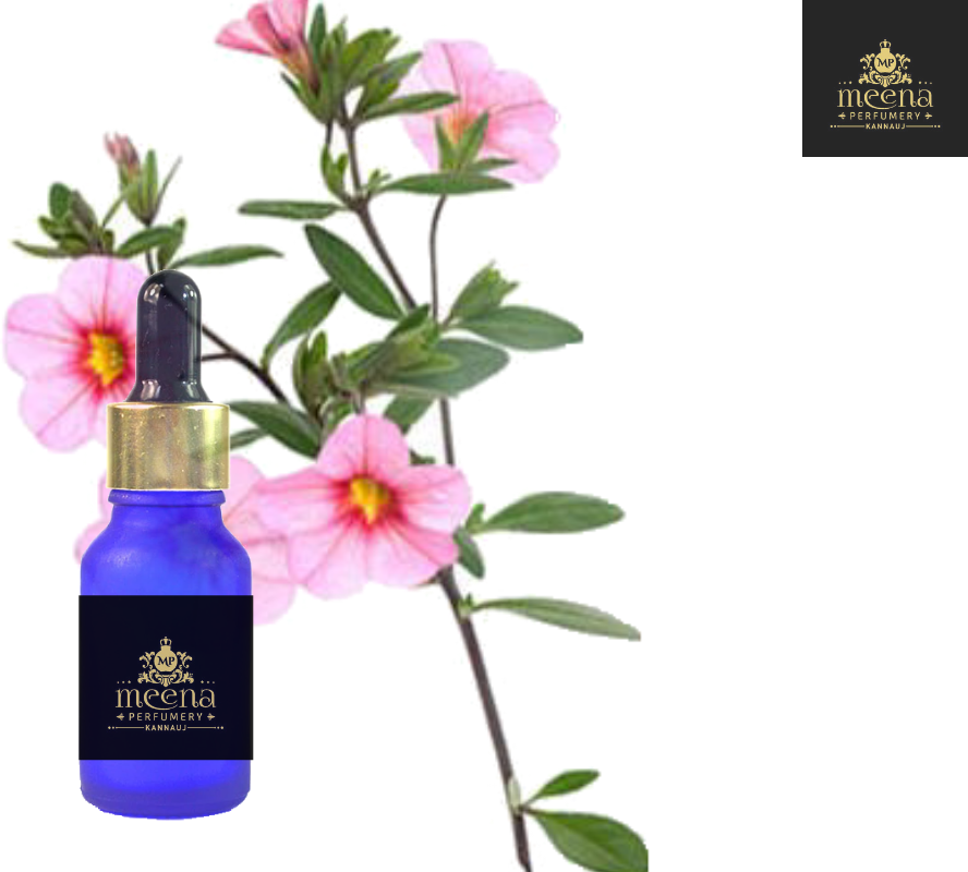 Labdanum Oil