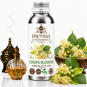 Linden Blossom Absolute Oil