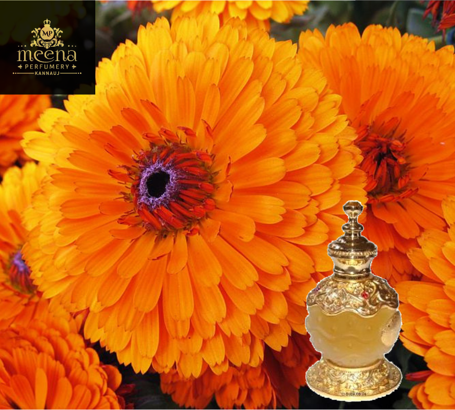 Marigold Attar
