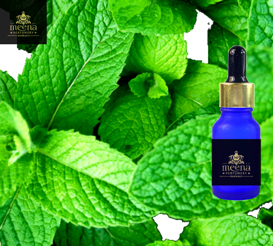 Menthol Oil