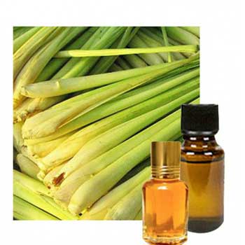 Moulsree Attar