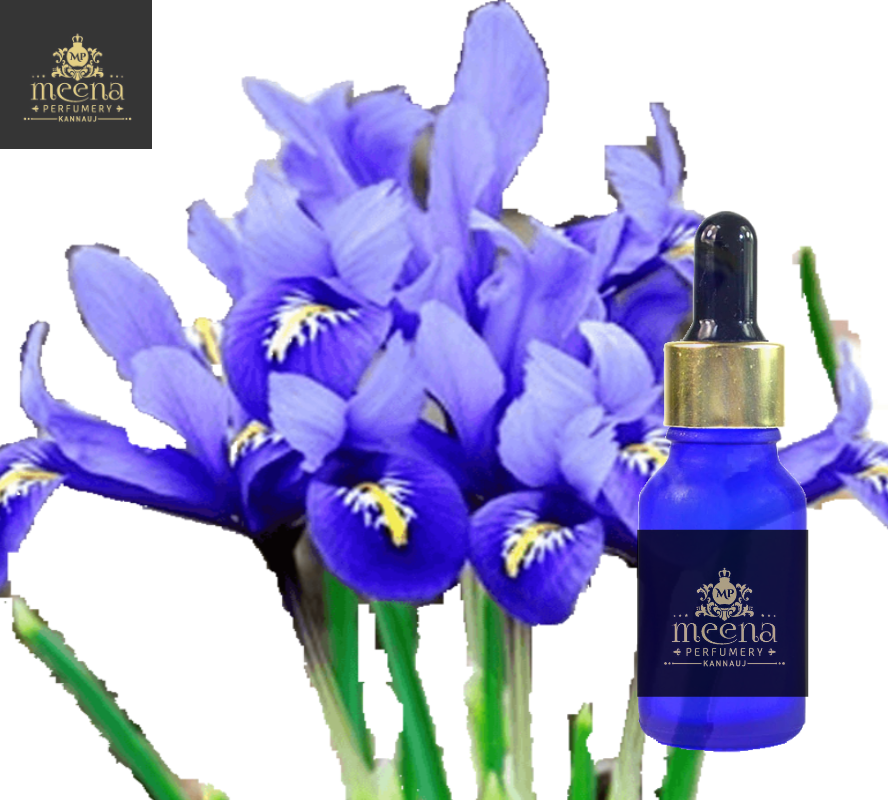 Orris Root Absolute