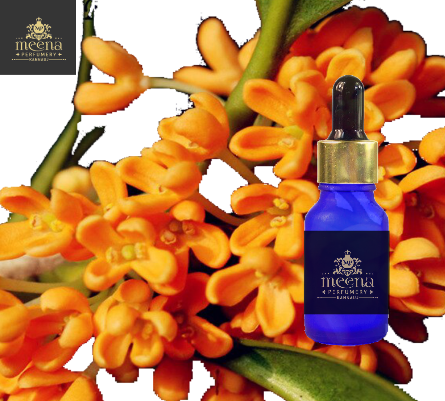 Osmanthus Absolute Oil