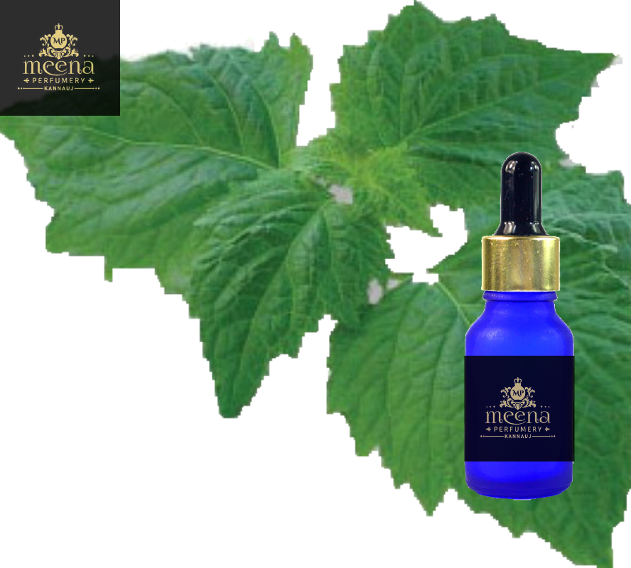Patchouli Oil