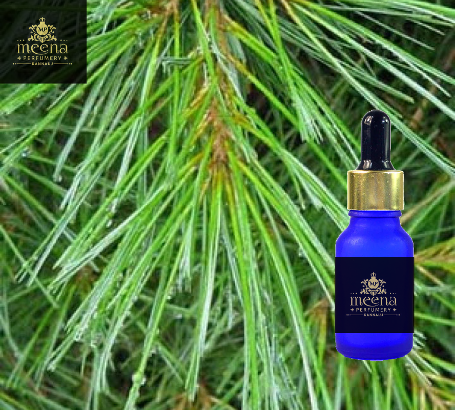 Pine Needle Oil