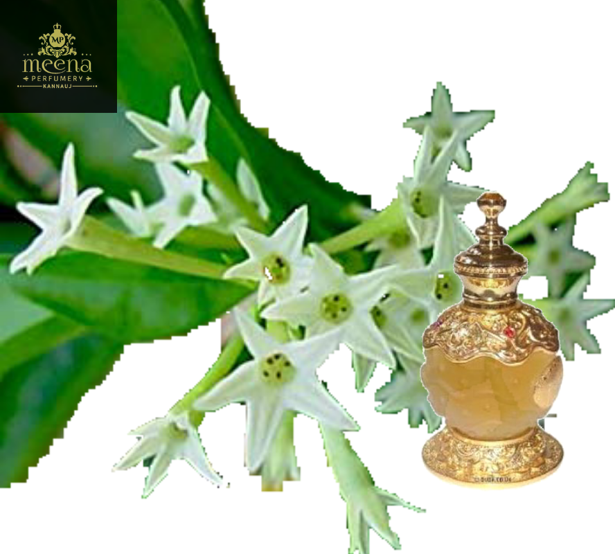 Raat Raani Attar