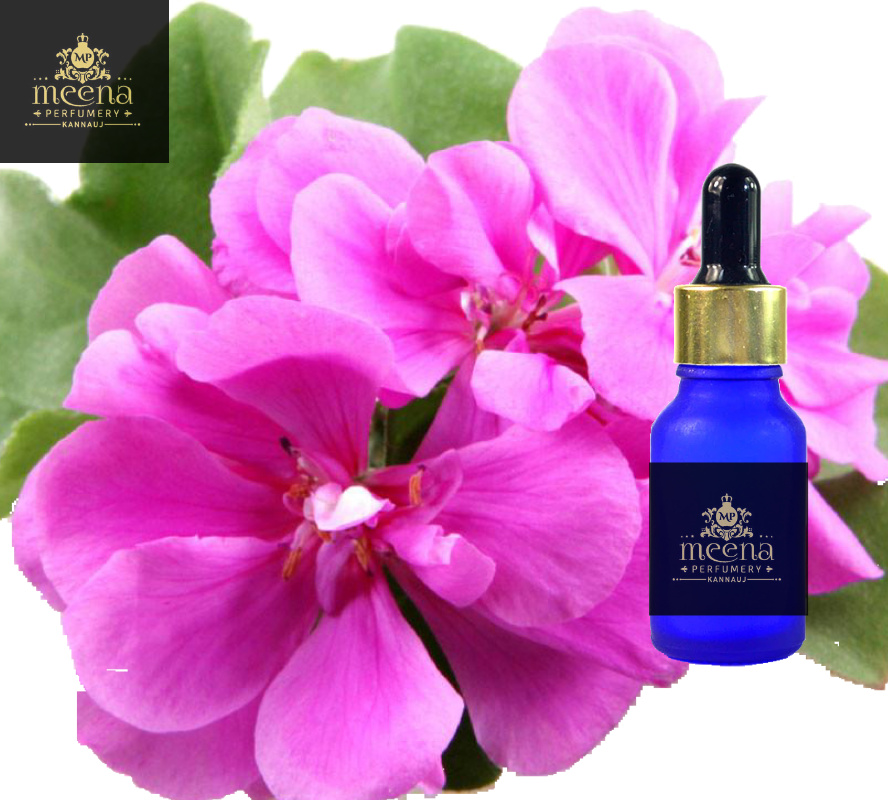 Rose Geranium Oil