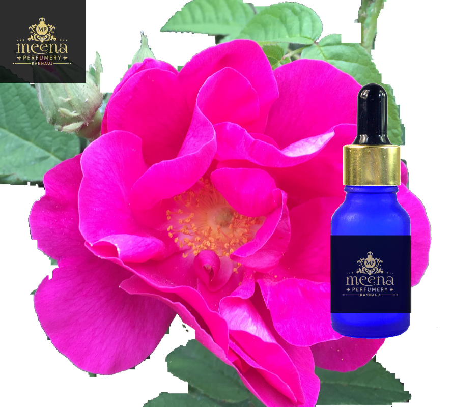Rose Otto Oil