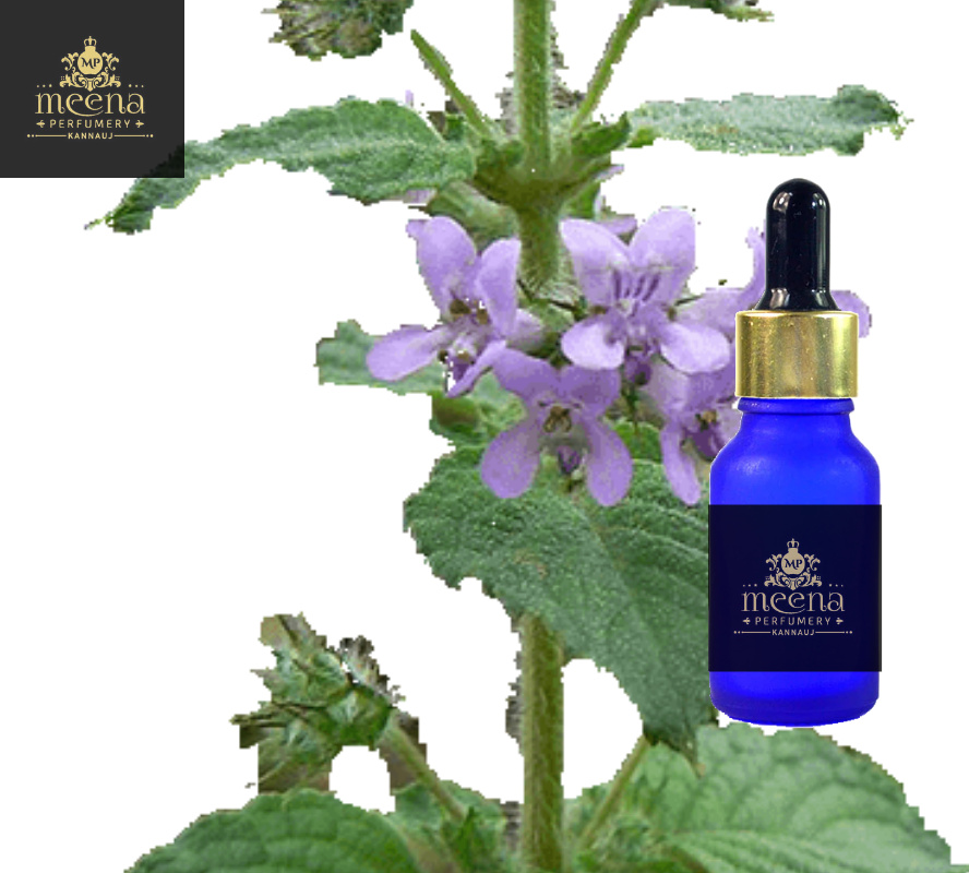 Spikenard Oil