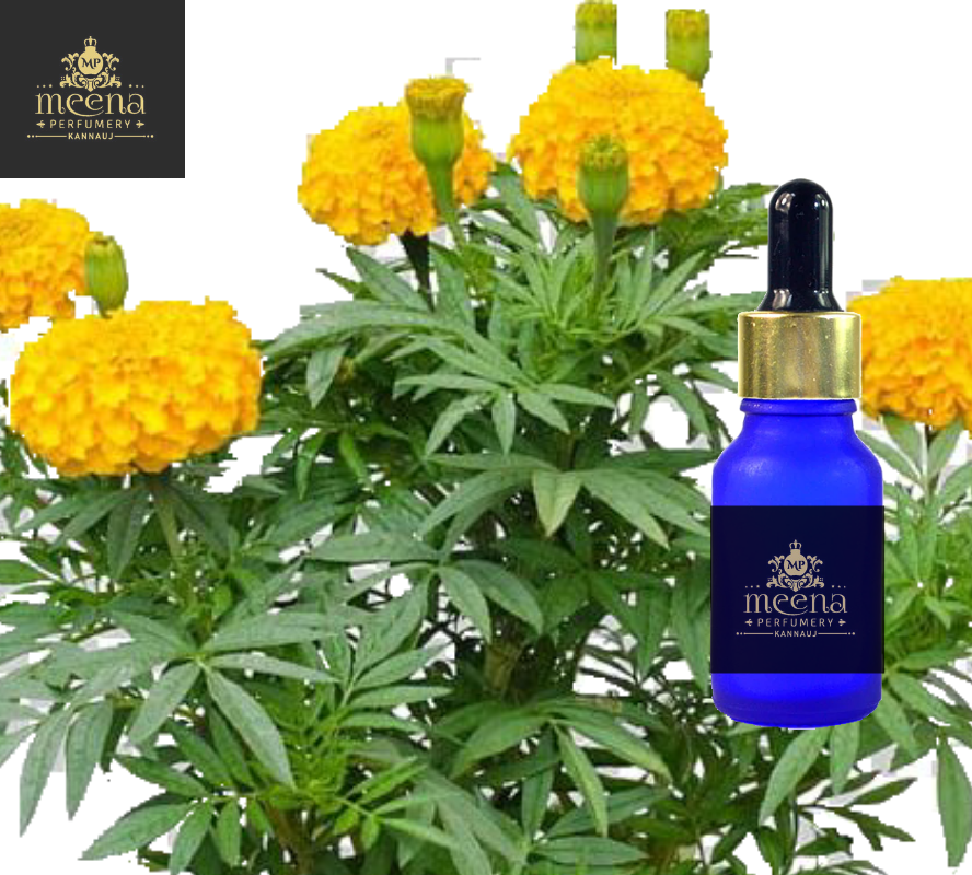 Tagetes Oil