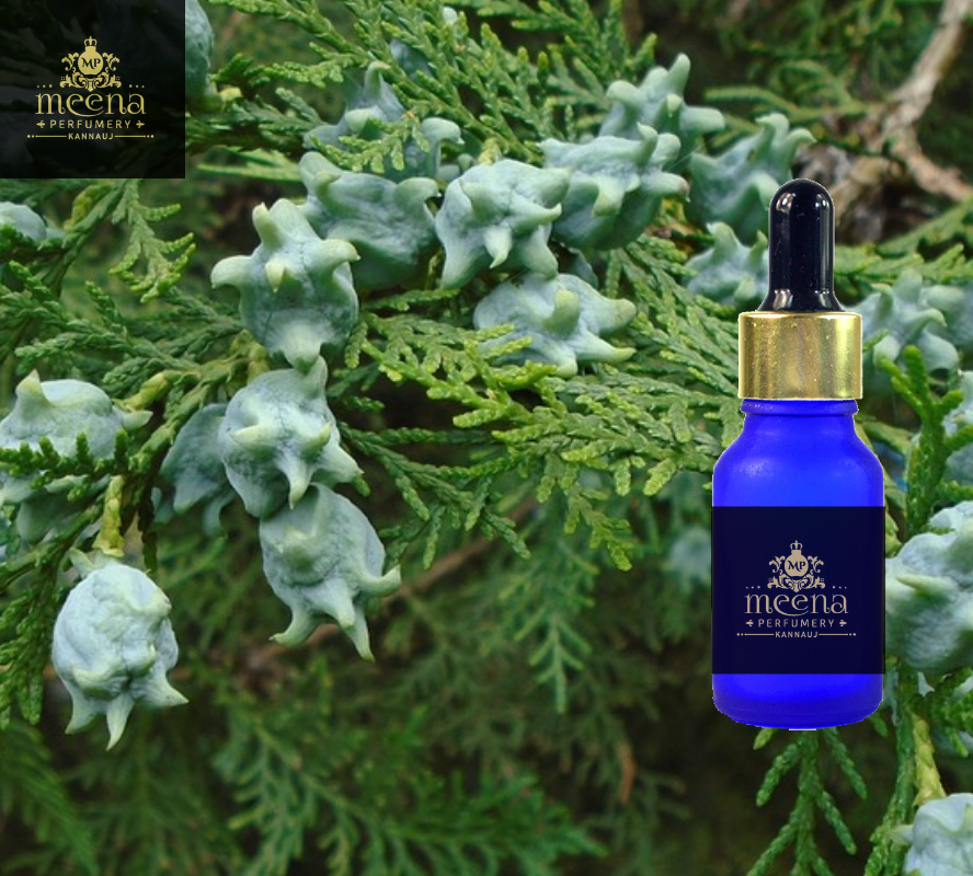 Thujawood Oil