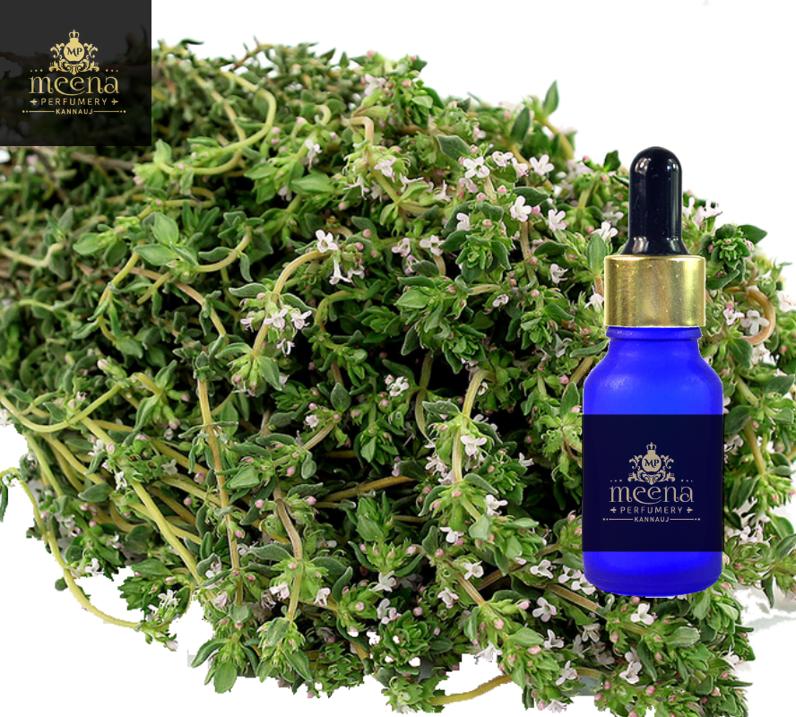 Thyme Oil