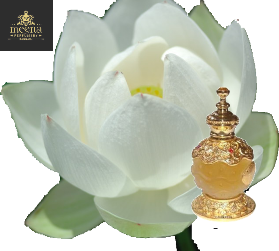 White Lotus Attar