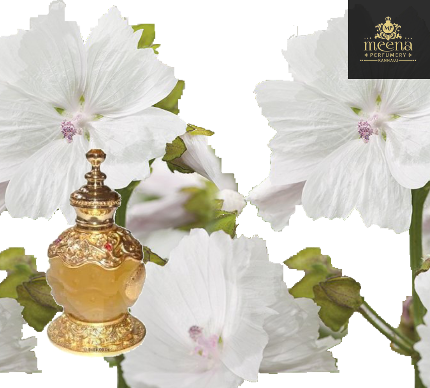 White Musk Attar