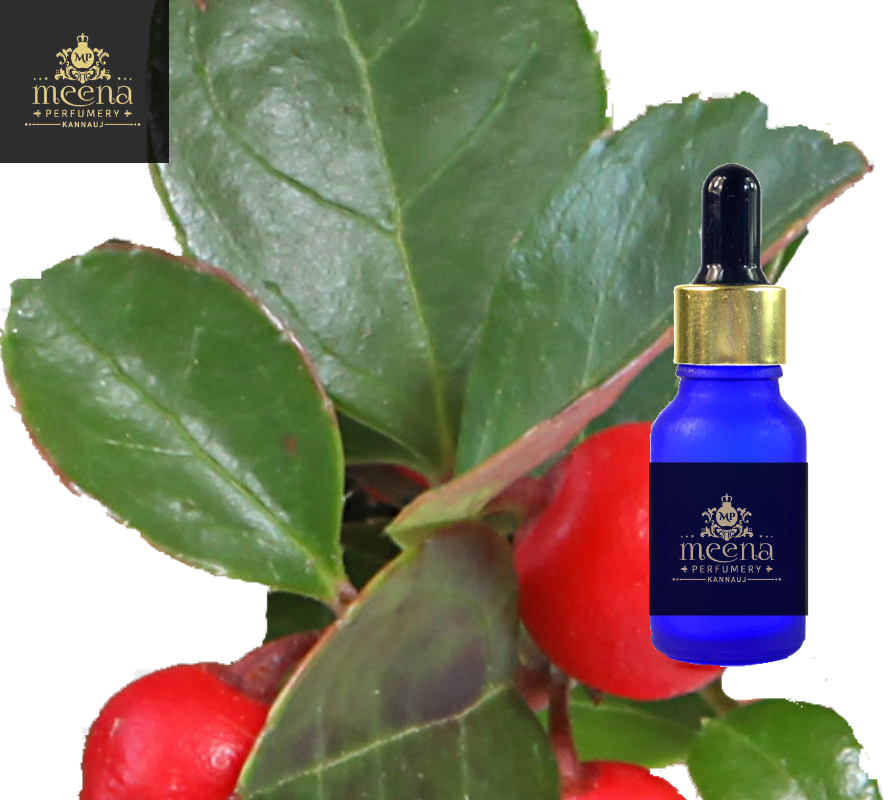 Wintergreen Oil