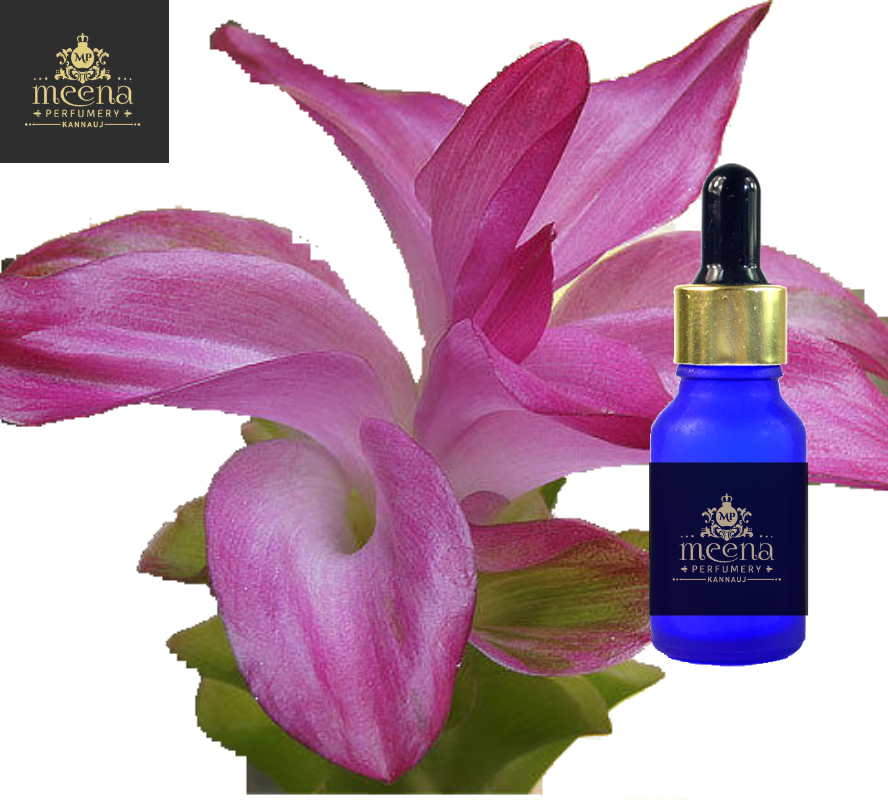 Zedoaria Oil
