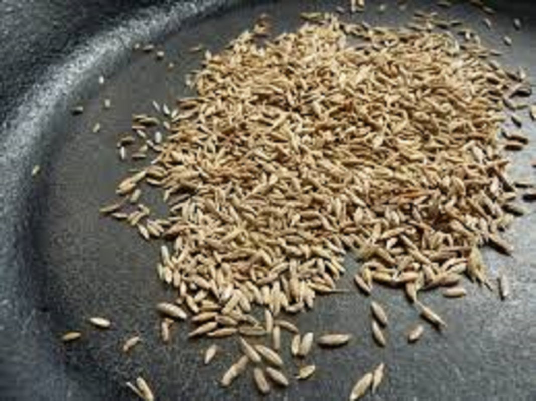 CUMIN SEED OIL